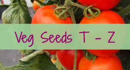Picture for category Veg T - Z